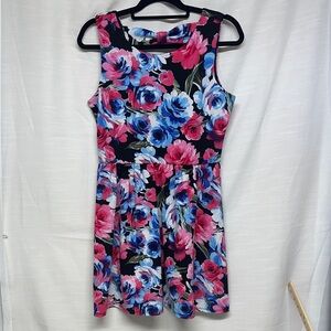 Lily Rose Floral Mini Dress - Pink and Blue